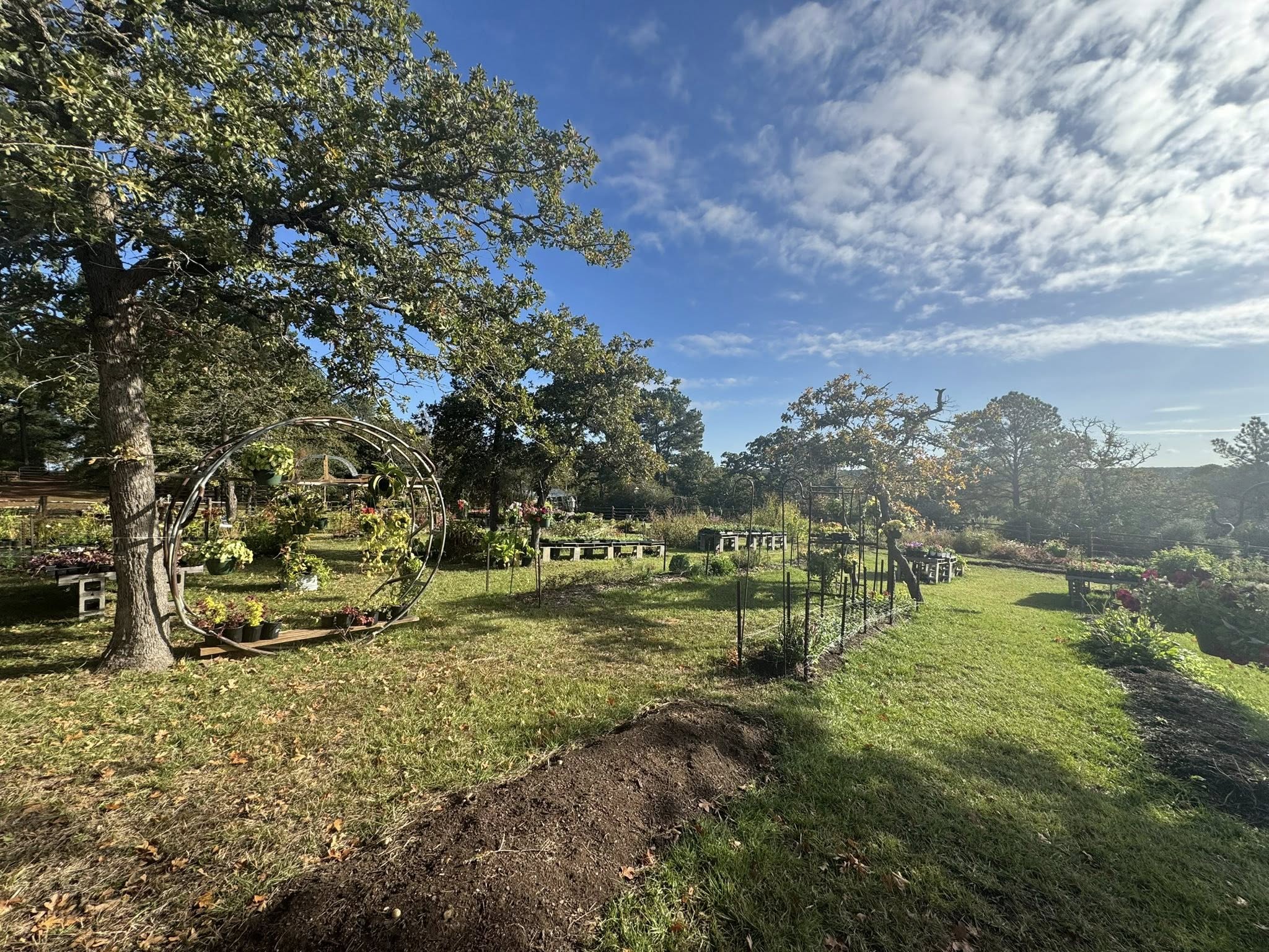 Farm grounds with garden arches