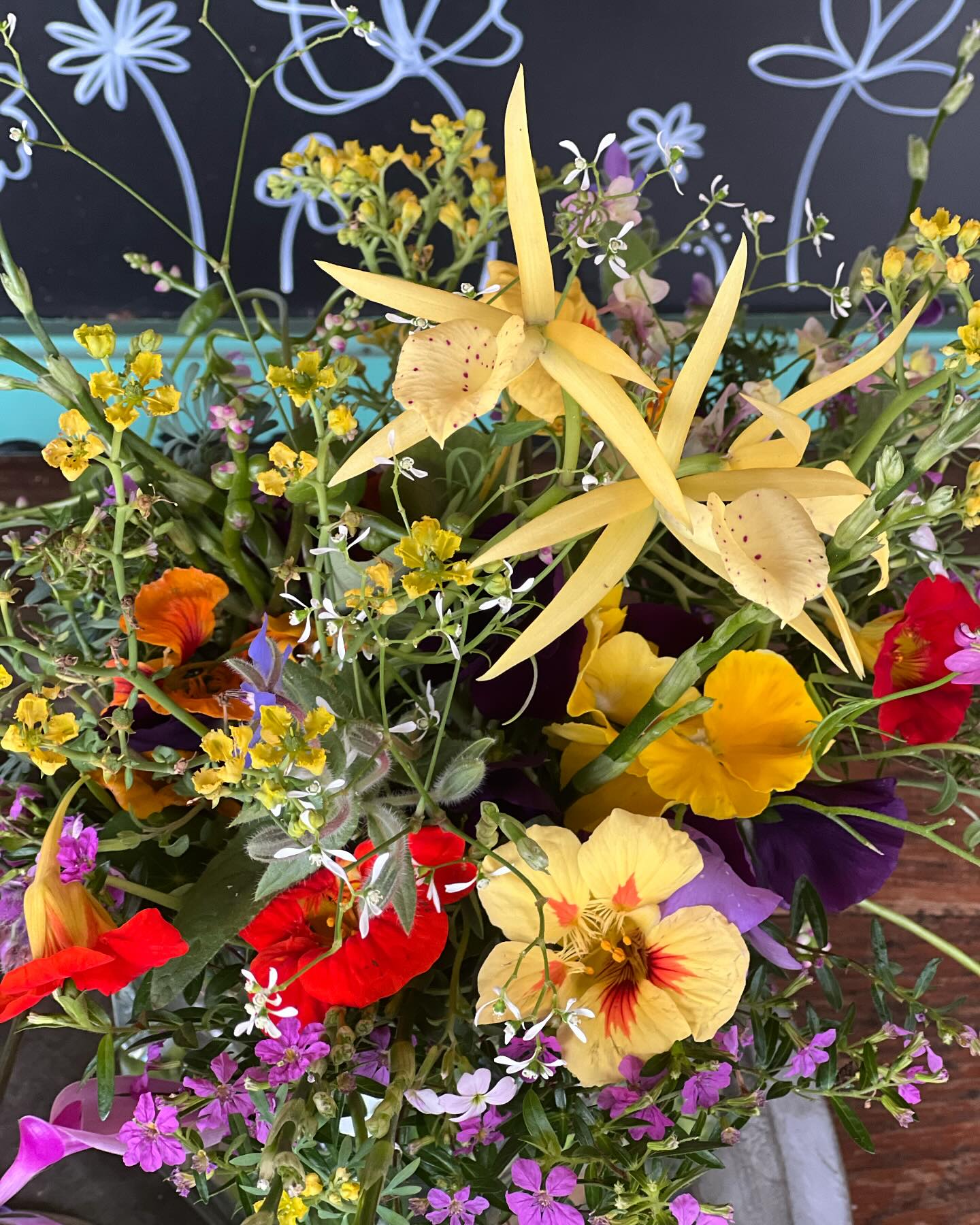 Nasturtiums & Orchids